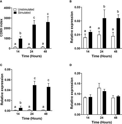 The Partitioning of Newly Assimilated Linoleic and α-Linolenic Acids Between Synthesis of Longer-Chain Polyunsaturated Fatty Acids and Hydroxyoctadecaenoic Acids Is a Putative Branch Point in T-Cell Essential Fatty Acid Metabolism